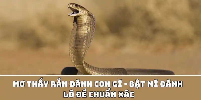 Mơ thấy rắn đánh con gì